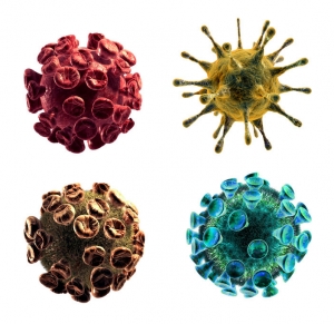 Detailed 3d illustration of Virus isolated on white background