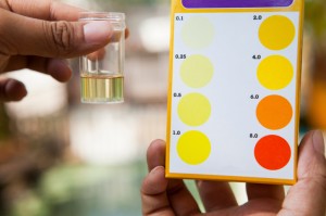 Testing Water - PH Scale